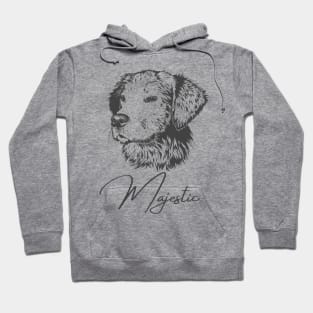 Fluffy Handsome Majestic Dog Hoodie